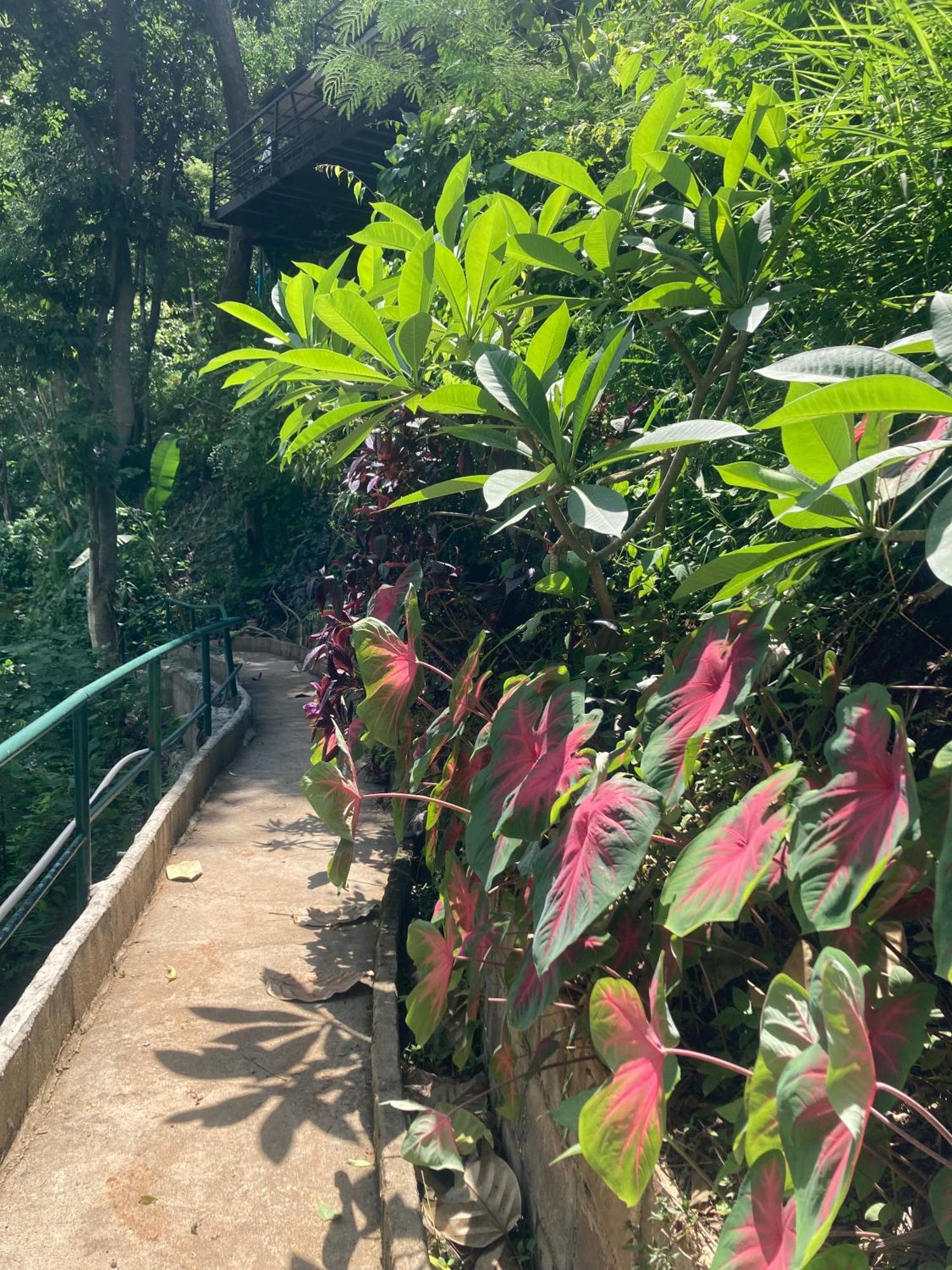 Maesa Greenery Hill Sha Mae Rim Exterior foto